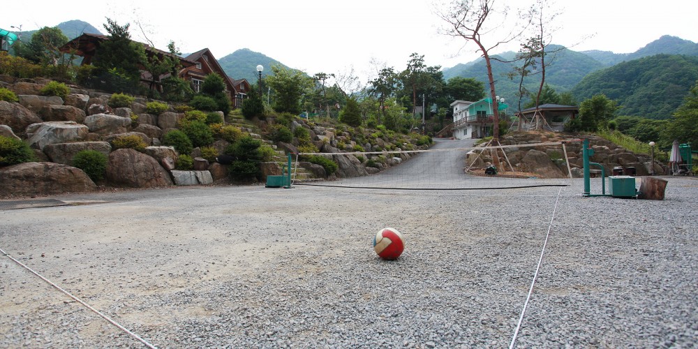 족구장